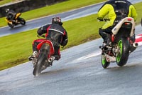 PJ-Motorsport-Photography-2020;anglesey;brands-hatch;cadwell-park;croft;donington-park;enduro-digital-images;event-digital-images;eventdigitalimages;mallory;no-limits;oulton-park;peter-wileman-photography;racing-digital-images;silverstone;snetterton;trackday-digital-images;trackday-photos;vmcc-banbury-run;welsh-2-day-enduro